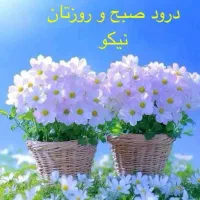 گواهینامه گمشده