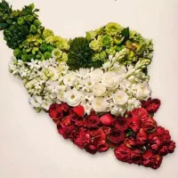 خط تلفن ثابت