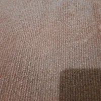 موکت کرم یا کالباسی