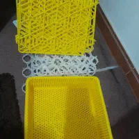 دستگاه جوجه کشی|لوازم جانبی حیوانات|سنگر, |دیوار