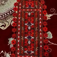 کریشی زیاستین