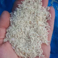 برنج هاشمی دست چین سنتی محصول زمین خودم