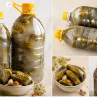 خیارشور