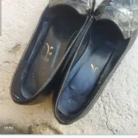 کفش مجلسی زنانه|کیف، کفش، کمربند|یاسوج, |دیوار