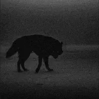 خرید ار اکانت کالاف بازی ندای وظیفه حضوری