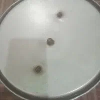 زودپز قابلمه ای|ظروف پخت‌وپز|اندیمشک, |دیوار