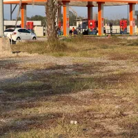 فروش زمین بامجوز پمپ بنزین دراصل اتوبان اصلی گیلان|فروش زمین و ملک کلنگی|لولمان, |دیوار