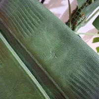 کیف چرم طبیعی تبریز نو|کیف، کفش، کمربند|ری, ظهیرآباد|دیوار