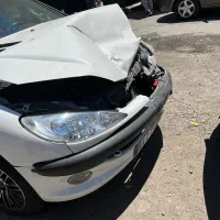 کاپوت ۲۰۶ داغی