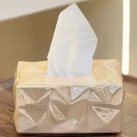 جا دستمال کاغذی لاستر رنگ ثابت|صنایع دستی و سایر لوازم تزئینی|تهران, بهداشت|دیوار