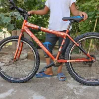 دوچرخه ۲۶ ویوا|دوچرخه، اسکیت، اسکوتر|گنبد کاووس, |دیوار