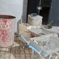 فرغون وبشکه