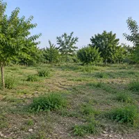 فروش-زمین-در-بهترین-منطقه-یلاقی