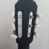 گیتار نو|گیتار، بیس، امپلیفایر|رشت, شالکو|دیوار