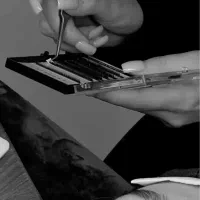 آموزش دستیار مژه + وسایل+فقط ۹ تومن فوری