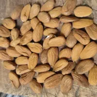 فروش بادام شاهرودی و کاغذی