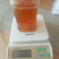 عسل پاییزه کنار