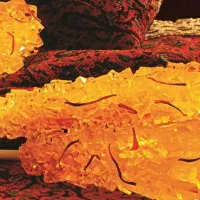 نیاز به استادکار نقل پزی