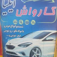 استخدام نیرو برا کارواش
