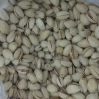 پسته درجه یک|خوردنی و آشامیدنی|تربت جام, کلالی|دیوار