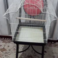 دو عدد قفس پرنده|لوازم جانبی حیوانات|سهند, |دیوار