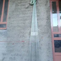 تور ماهیگیری