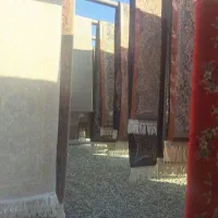 قالیشویی و مبل شویی متین