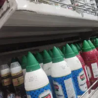 نیاز مند شاگرد سوپر مارکت