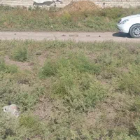 زمین مسکونی|فروش زمین و ملک کلنگی|پارسآباد, |دیوار