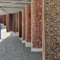 قالیشویی مبل شویی فرشچی مهرشهر فاز1تا4 کیانمهر|خدمات نظافت|کرج, فاز ۱ مهرشهر|دیوار