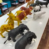 کلکسیون حیوانات