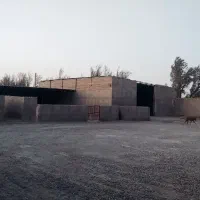 فروش دامداری صنعتی ۱۰۰ راسی|فروش دفتر صنعتی، کشاورزی، تجاری|نیمروز, |دیوار