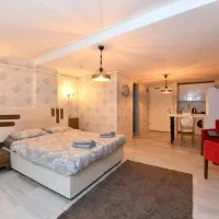 نیازمند نظافتچی خانم