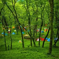 تور گردشگری دماوند