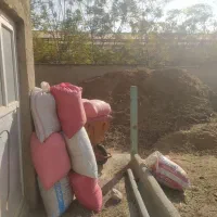 فروش کود حیوانی تمیز بدون آشغال|خدمات باغبانی و درختکاری|تهران, شهرک علم و فناوری|دیوار