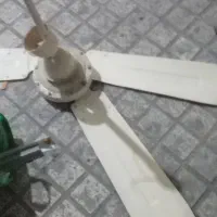 پنکه