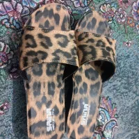 دمپایی|کیف، کفش، کمربند|سبزوار, شرق کال عیدگاه|دیوار