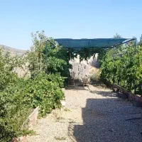 باغچه-500-متری