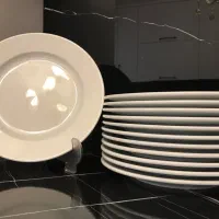 ۱۲ عدد بشقاب پلوخوری چینی