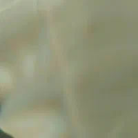 لباس نو|لباس|فاضل آباد, |دیوار