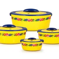 ظرف غذا دو جداره هندی