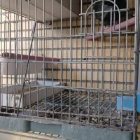 قفس یزرگ پرنده