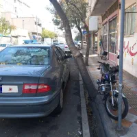 سواری سمند Lxxu7 مدل ۹۹|خودرو سواری و وانت|تهران, خزانه|دیوار