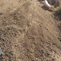 پخش کود حیوانی در شاهیوند چگنی با نیسان|خدمات باغبانی و درختکاری|خرمآباد, |دیوار