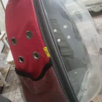 کیف پرنده|لوازم جانبی حیوانات|ارومیه, |دیوار