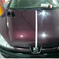 واکس پولیش سیار