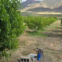 باغ موچش|فروش زمین و ملک کلنگی|موچش, |دیوار