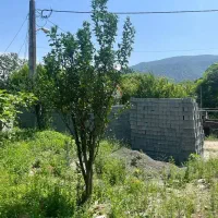 زمین بافت فروشی ۳۴۵ متری  نوشهر