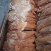 فیله مرغ صادراتی،کتف و بال،ران مرغ مجلسی