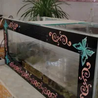 اکواریوم
